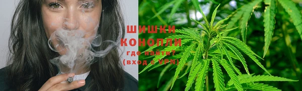 spice Горнозаводск