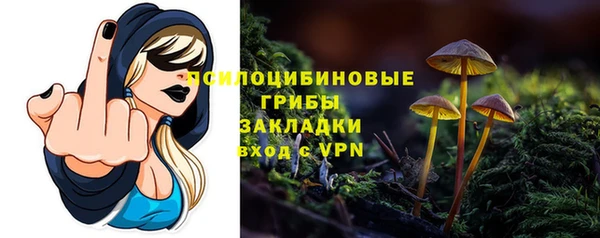 spice Горнозаводск