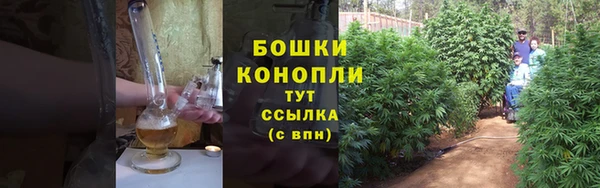 метадон Горняк